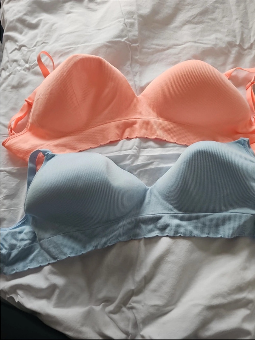 George Coral and Light Blue Seamless T-Shirt Bras non wired